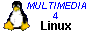 Linux links